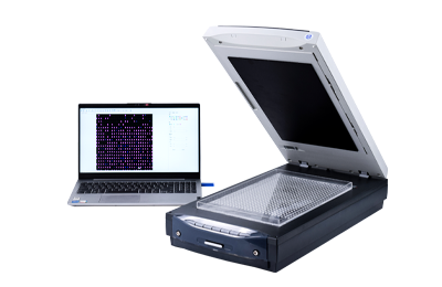 大米外观品质检测仪：多参数、批量化自动分析